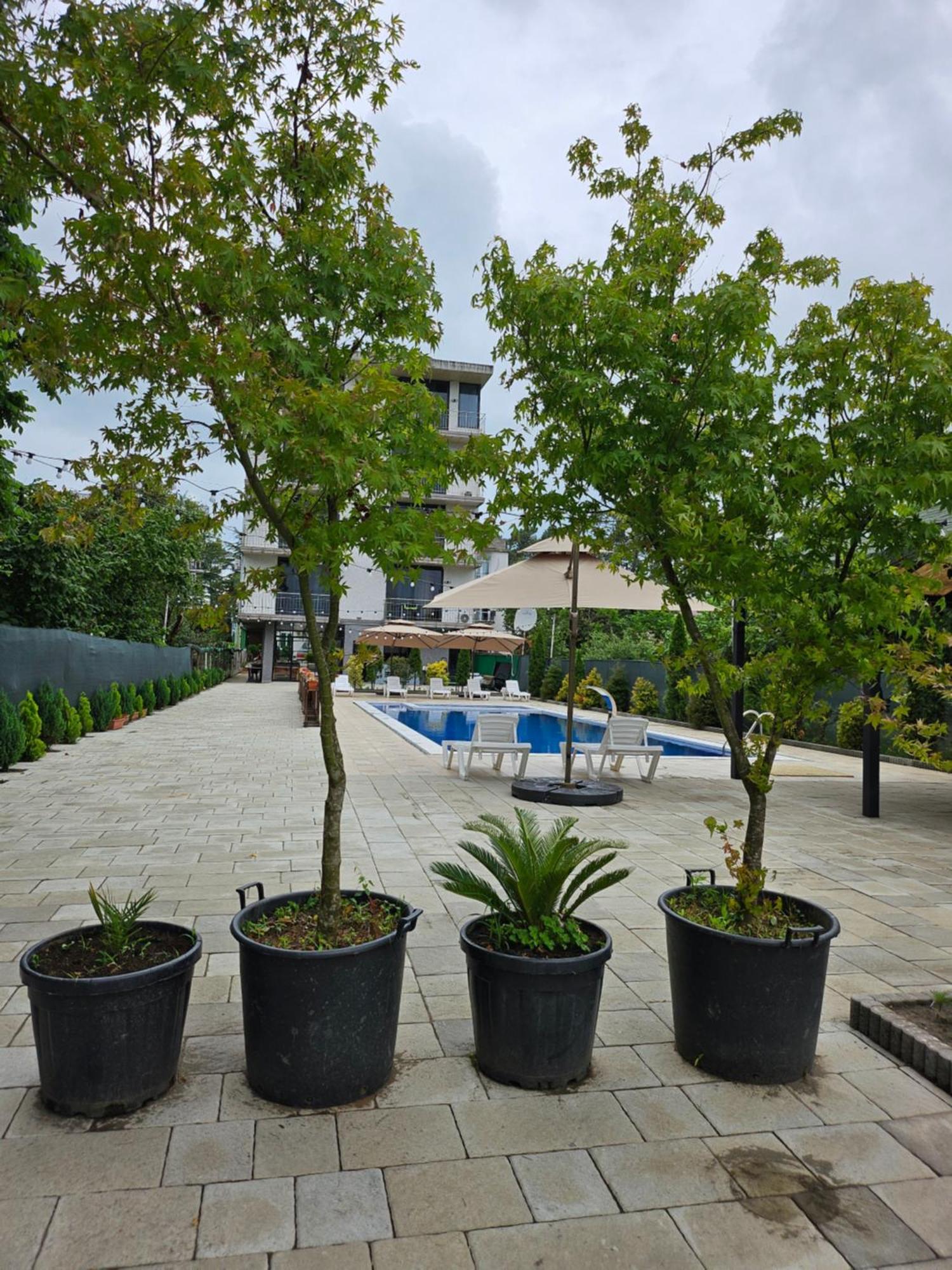 Green Terrace Кобулеті Екстер'єр фото